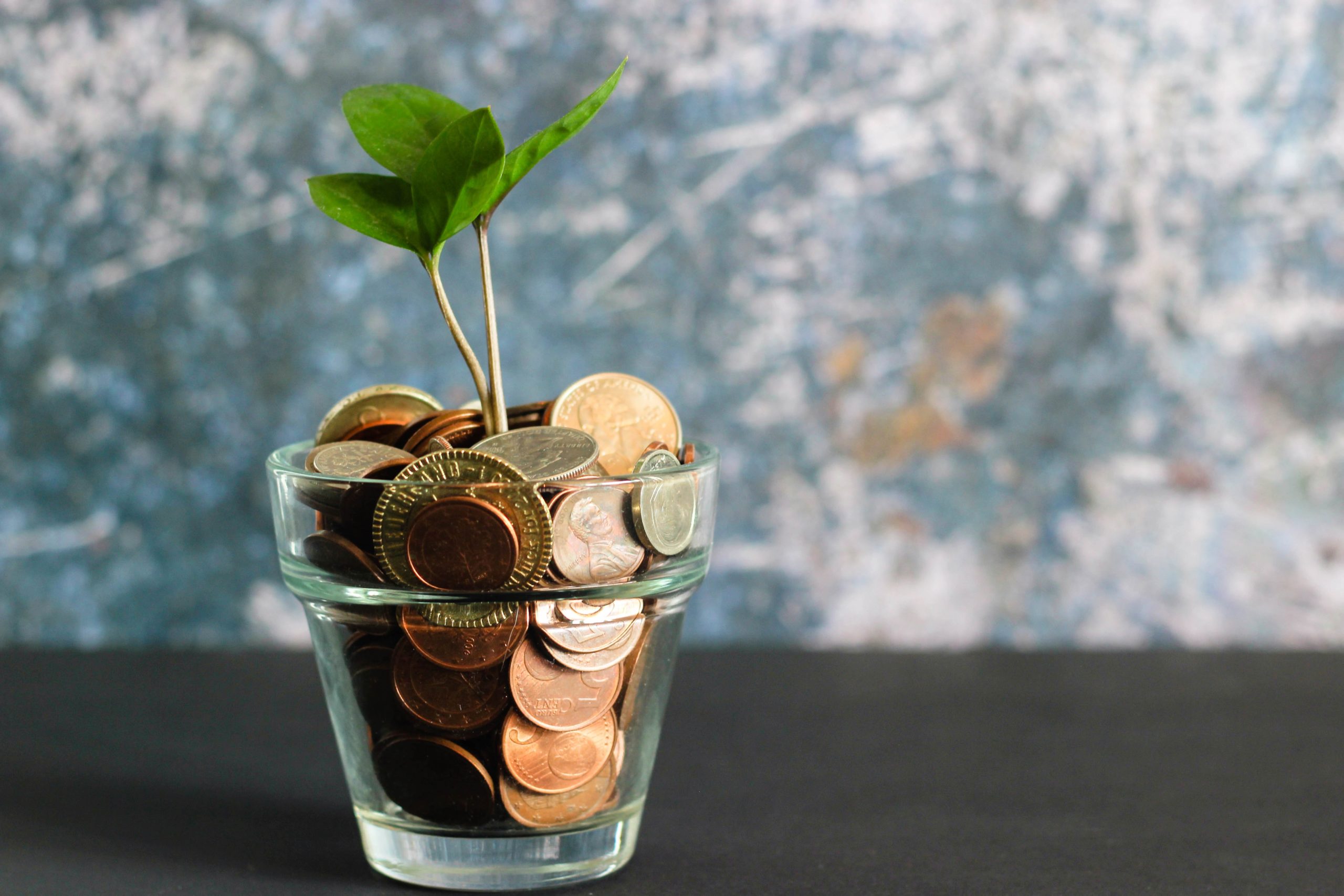 SME Fund 2026 : un soutien toujours intéressant pour protéger votre marque